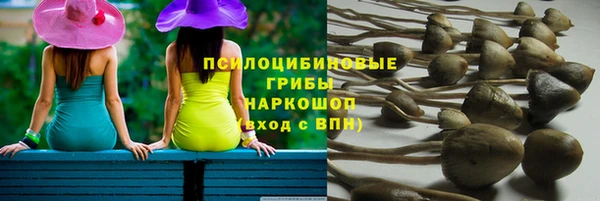 герыч Алзамай
