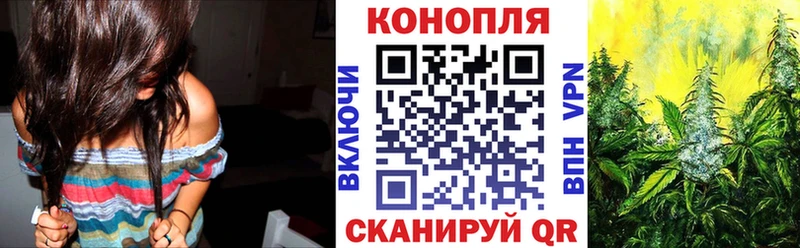 МАРИХУАНА SATIVA & INDICA  мориарти какой сайт  Сольвычегодск 